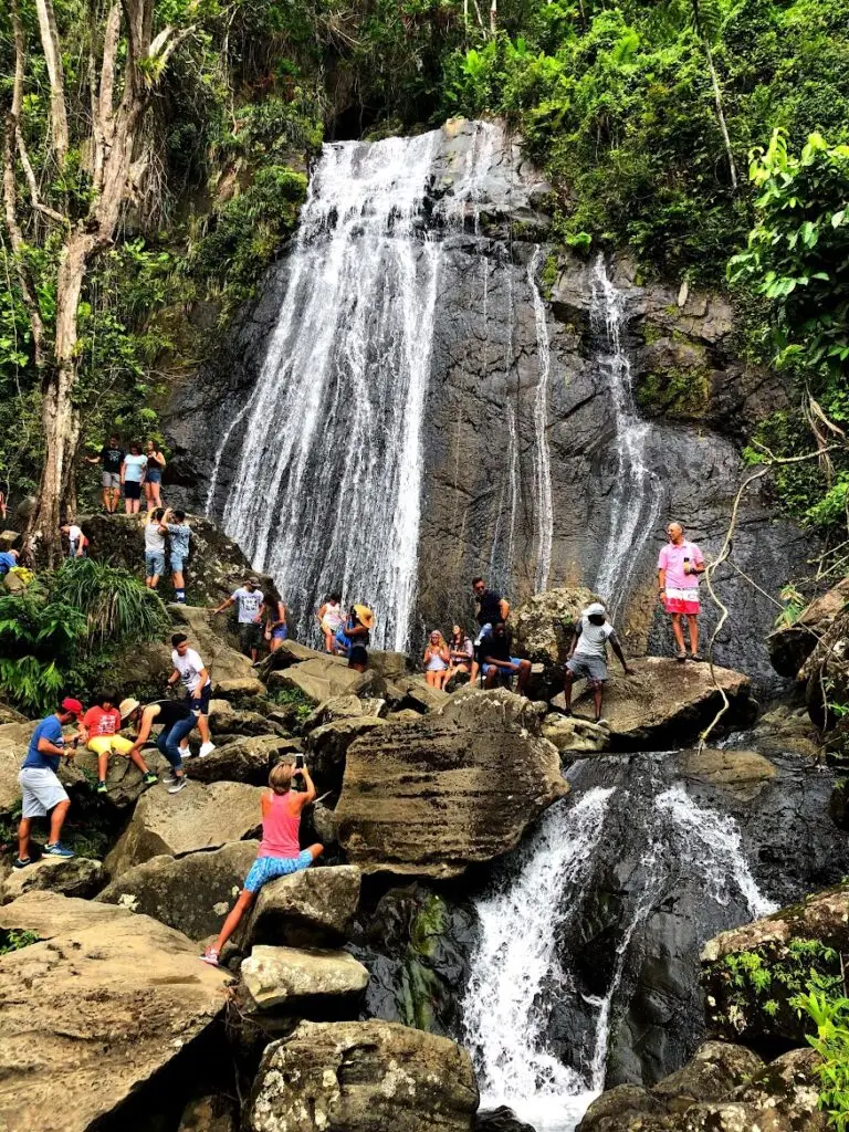 Picturesque roadside waterfall in El Yunque