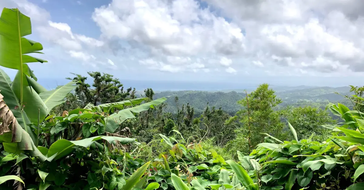 El Yunque, Puerto Rico