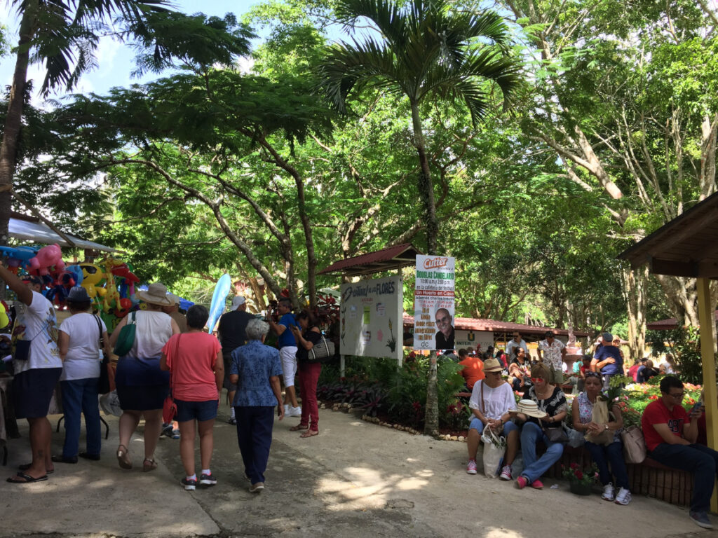 Crowds at the Festival de la Flores in Aibonito