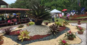 Festival de la Flores, Aibonito