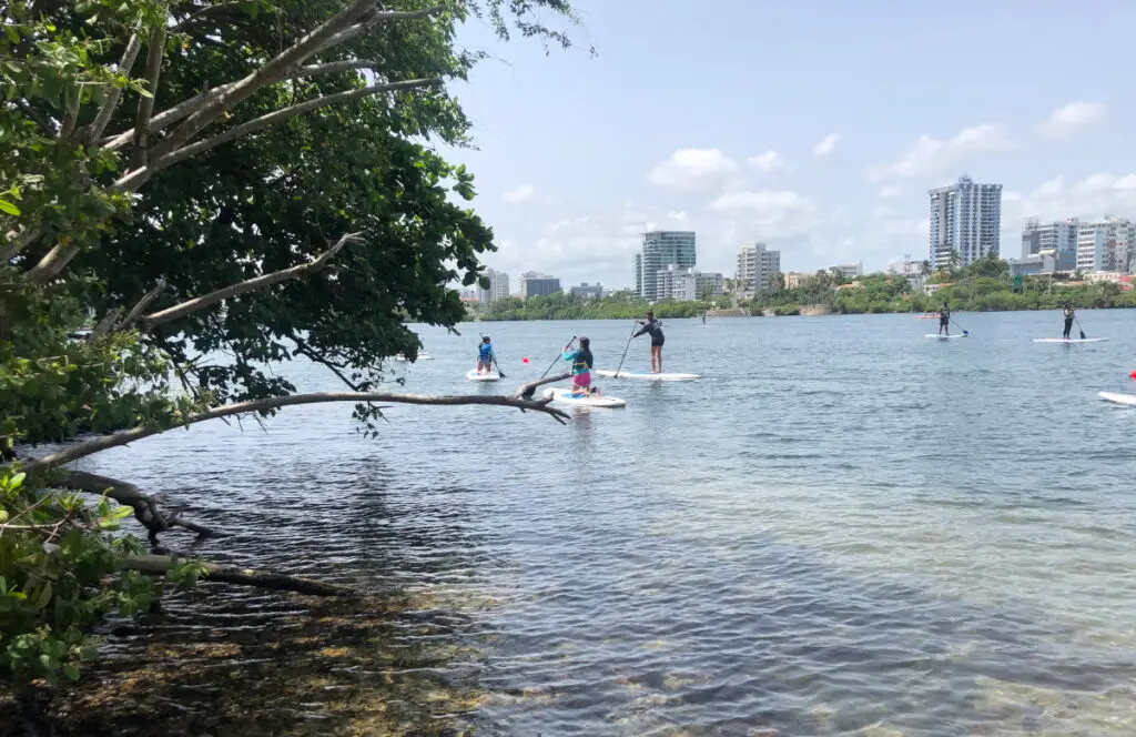 paddles boarders enjoying Condado Lagoon