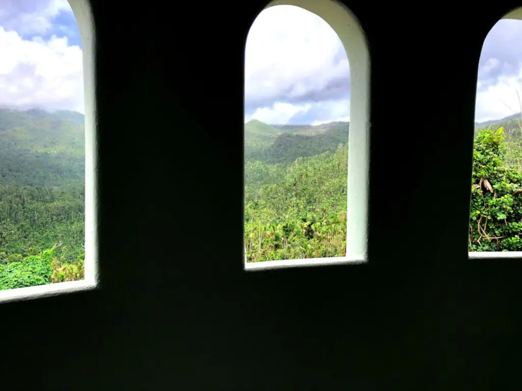 El Yunque is a perfect activity for cruise passengers making a port of call in san juan