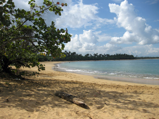 Piñones, Puerto Rico: Where Beachfront Strolls Meet Authentic Flavors