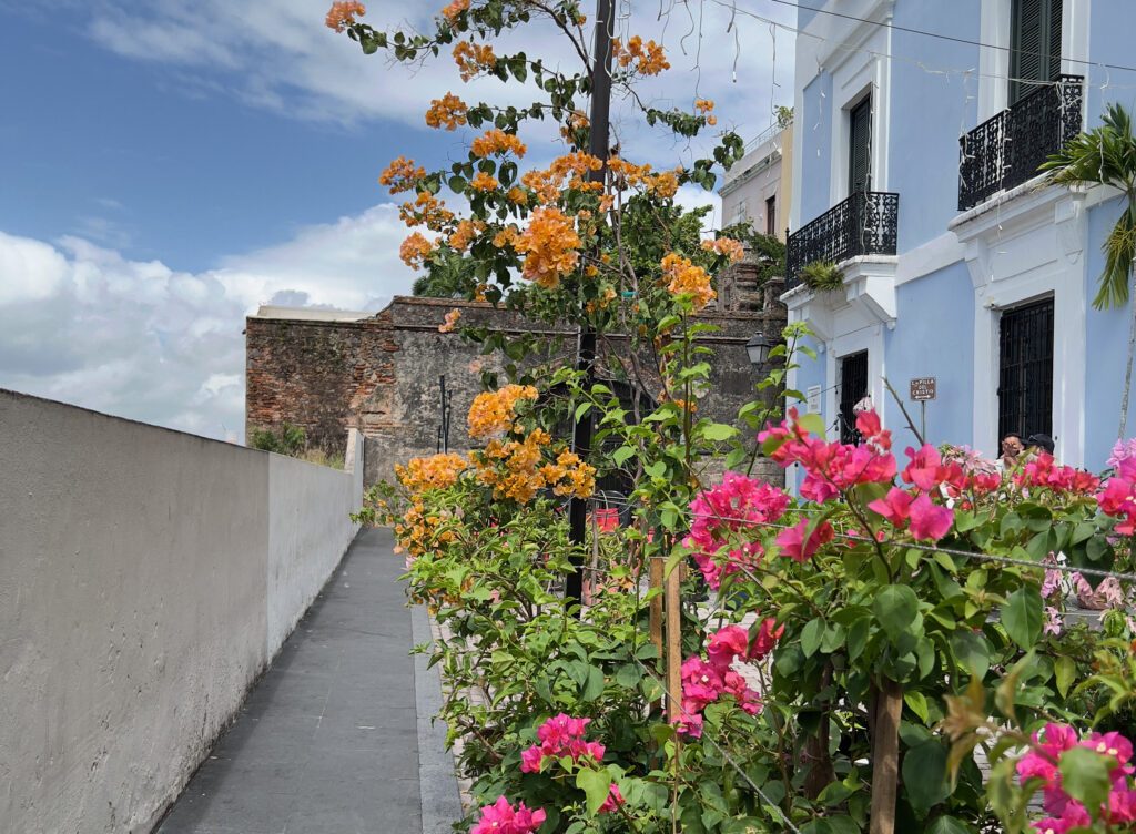 San Juan in Spring: The Ultimate Guide to the Best Things to Do This Season